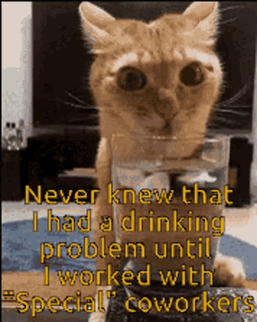 Cat Drinking Cat Drinking Problem Discover And Share S 5320