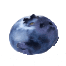 a blueberry that looks like a hippopotamus