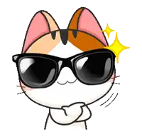 a cartoon cat wearing sunglasses with a yellow star behind it