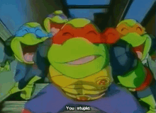 Tmnt Teenage Mutant Ninja Turtles GIF