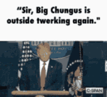 Big Chungus Big Chungus Trump GIF - Big Chungus Big Chungus Trump Trump GIFs