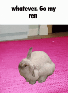 a picture of a rabbit on a pink rug with whatever go my ren written below it