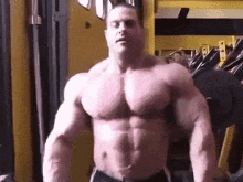 Muscle Bodybuilder GIF