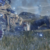 a screenshot of a video game with the words ok garmin visible
