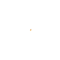 a diamond shaped object with circles on it is against a white background