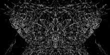 a close up of a broken glass against a black background