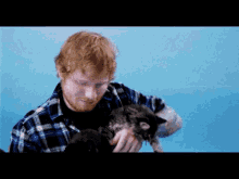 Ed Sheeran Cat GIF - Ed Sheeran Cat Pet GIFs