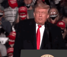 Donald Trump Potus GIF - Donald Trump Potus Campaign Rally GIFs
