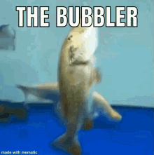 The Bubbler GIF - The Bubbler GIFs