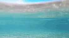 Travel Water GIF - Travel Water Beach GIFs