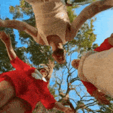 a group of people are standing in a circle and looking up at a tree .