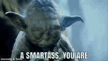 Smartass Yoda GIF