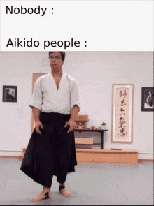 aikido meme martial arts fall falling