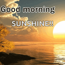 Morning Goodmorning GIF - Morning Goodmorning Sunrise GIFs