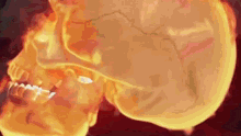 a skull with flames coming out of it