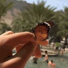 Butterfly Natural GIF - Butterfly Natural Water GIFs