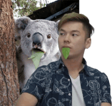 kuala eating