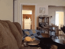 Baily Couch Fall GIF