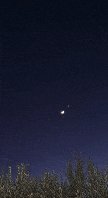 the moon and venus are visible in the night sky above some trees