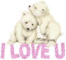 bear i love you