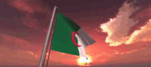 flag algeria