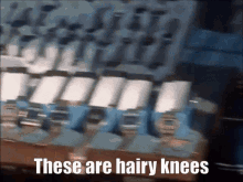 These Are Hairy Knees Only Fools And Horses GIF