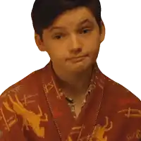 a young boy is wearing a red robe with a lizard on it