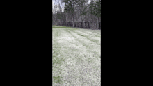 a pink ball is flying through the air on a lawn .