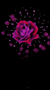 Hema Rose GIF - Hema Rose GIFs