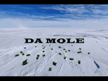 the mole mol de mol the mole from the north pole north