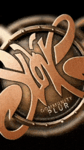 a gold coin with the word community on it