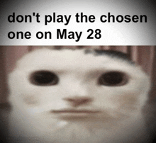 a blurred image of a cat with the words " do n't play the chosen one on may 28 " below it