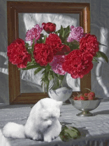 White Cat GIF - White Cat Red GIFs