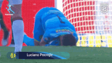 Get Up Luciano Pocrnjic GIF - Get Up Luciano Pocrnjic Liga Profesional De Fútbol De La Afa GIFs