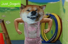 Dogecoin Strong GIF - Dogecoin Strong Flex GIFs