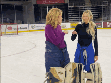Hockey Girls Goalie Girls GIF - Hockey Girls Goalie Girls Dont Mess With Us GIFs