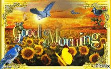 Good Morning Sunflowers GIF - Good Morning Sunflowers Birds GIFs