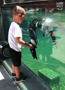 Otter Aquarium GIF