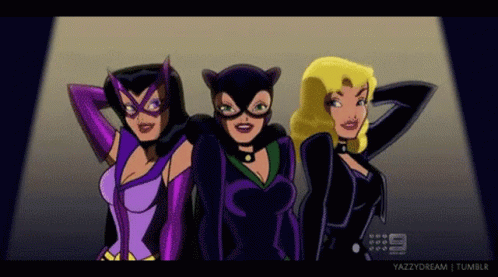 Catwoman Huntress GIF - Catwoman Huntress Black Canary GIFs