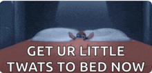 a cartoon character is laying on a bed with the words get ur little twats to bed now