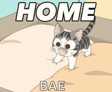 Home Cat GIF