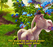 Donkey Shrek GIF - Donkey Shrek Colorblind GIFs