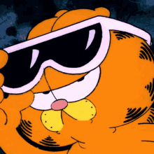 garfield cool glasses annoyed patient
