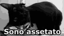 Gatto Nero Sete Assetato Lingua GIF - Black Cat Thirsty Tongue GIFs