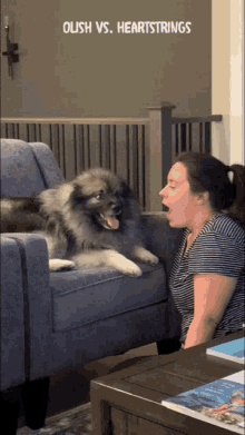 Keeshond Dog GIF - Keeshond Dog Attac GIFs