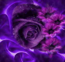 Purple Flowers GIF