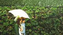 Sweet Umbrella GIF - Sweet Umbrella Rain GIFs