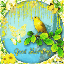 Good Morning Bird GIF - Good Morning Bird Yellow GIFs
