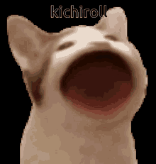 Kichiroll Bsca GIF - Kichiroll Bsca GIFs