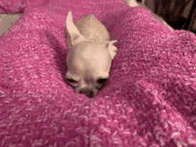 Sleepy Puppy GIF - Sleepy Puppy Cuddle GIFs